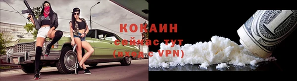 винт Богданович