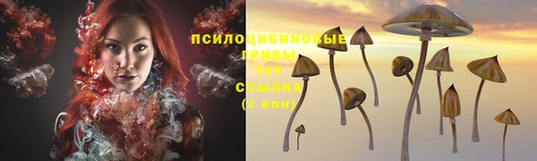 метадон Богородск